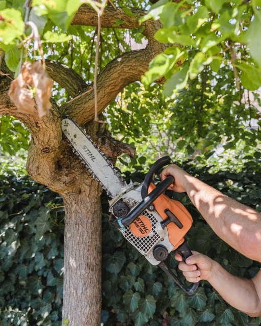 Parkfenntartás és zöldfelület-fenntartás ipari létesítményeknél – Ultramarin Kft. kertész csapata munkában