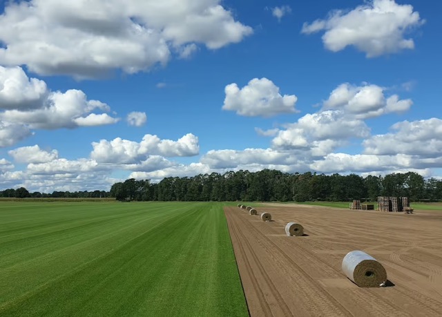 9W3A9866 másolat.jpg 322 – közepes