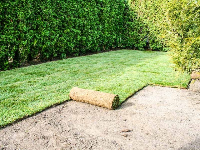 Ultramarin Kft. gyepszőnyegezés – profi kivitelezés