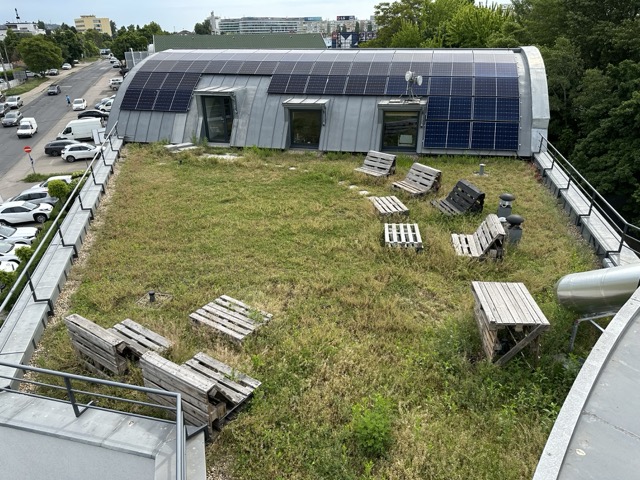 Vöröskő Kft – Euronics tetőterasz építés magaságyásokkal és pergolával