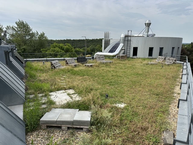 Vöröskő Kft – Euronics tetőterasz építés magaságyásokkal és pergolával