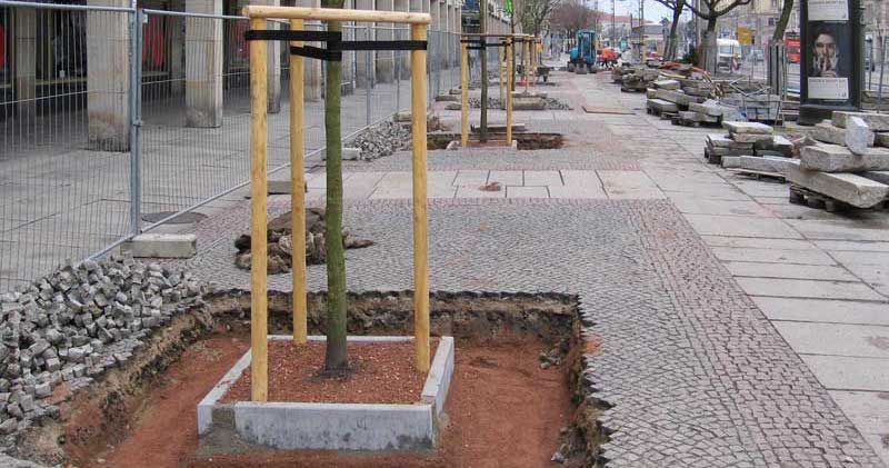 9W3A9866 másolat.jpg 322 – közepes