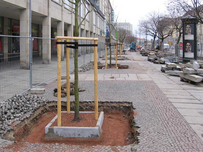 Fásítás és faültetés vállalati parkban – Ultramarin Kft