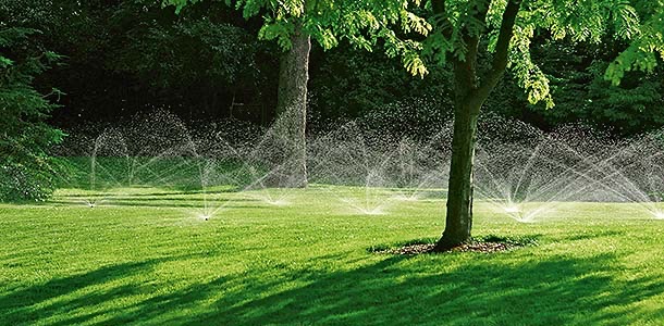 Öntözőrendszer építés vállalati kertben – Ultramarin Kft