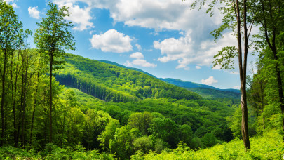 9W3A9866 másolat.jpg 322 – közepes