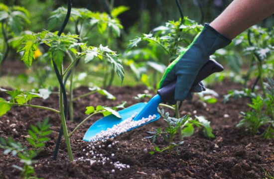 Műtrágya és szerves trágya összehasonlítása kertészeti felhasználásra