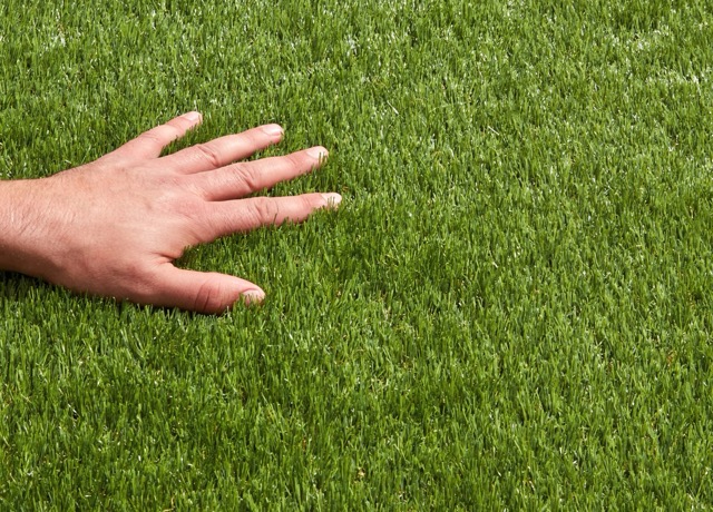 Gyepesítés összehasonlítás: gyepszőnyeg és fűmagvetés eredménye