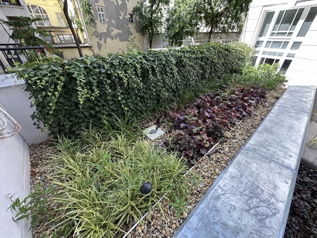 Növényfuttató háló szerelése zöldfal kialakításához