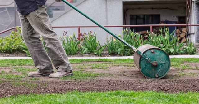 Ultramarin Kft. gyepszőnyegezés – frissen telepített zöld gyep
