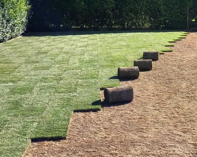 Ultramarin Kft. gyepszőnyegezés – profi kivitelezés