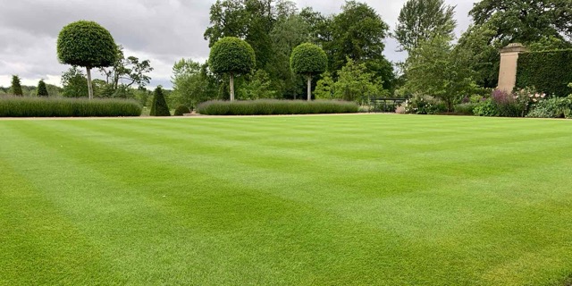 Gyepesítés összehasonlítás: gyepszőnyeg és fűmagvetés eredménye