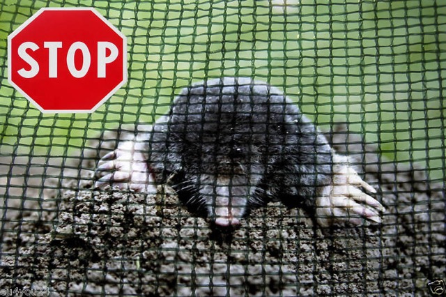 Ultramarin Kft. gyepszőnyegezés – profi kivitelezés