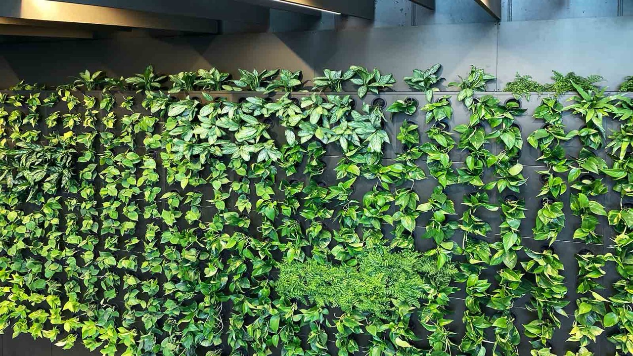 Beltéri zöldfal rendszer öntözéssel és növényfuttató hálóval