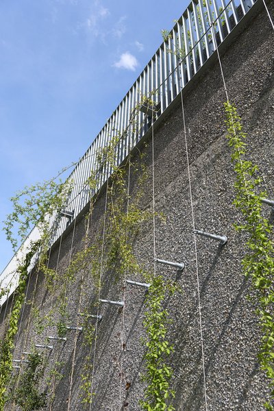 Zöldfal építés és növénytelepítés Ultramarin Kft. kertépítő csapatával