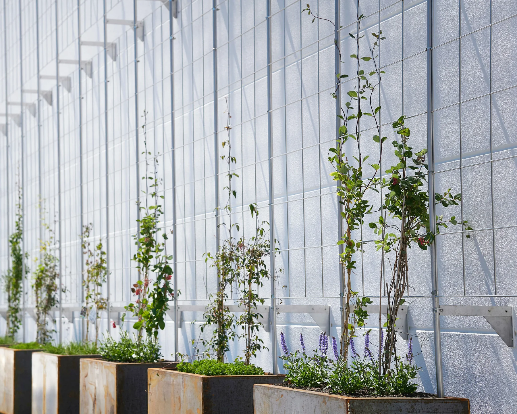 Növényfuttató háló szerelése zöldfal kialakításához
